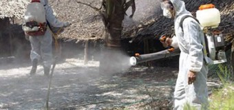 Diệt mối tận gốc Quận Bình Thạnh uy tín