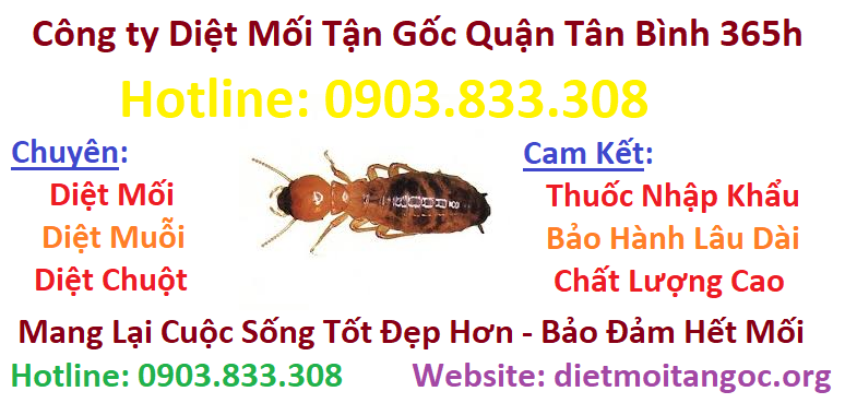 Công ty diệt mối tận gốc Quận Tân Bình 365h