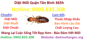 Diệt mối Quận Tân Bình