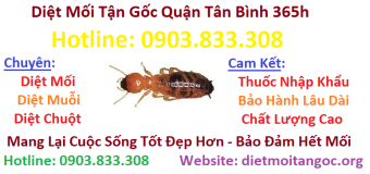 Diệt mối tận gốc Quận Tân Bình