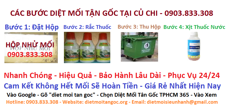 các bước diệt mối tận gốc tại củ chi