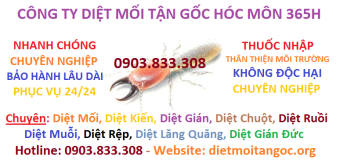 Diệt mối tận gốc Hóc Môn 365h