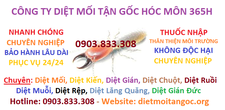 công ty diệt mối tận gốc hóc môn 365h