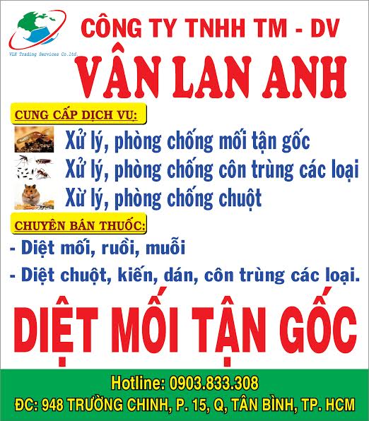 Diệt mối tận gốc tphcm