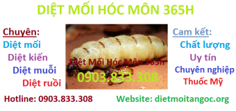 Diệt mối Hóc Môn 365h