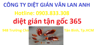 Diệt gián tận gốc 365