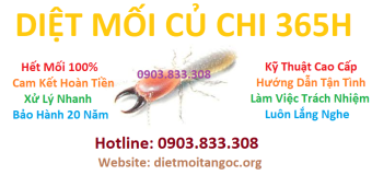 Diệt Mối 365h tại Củ Chi