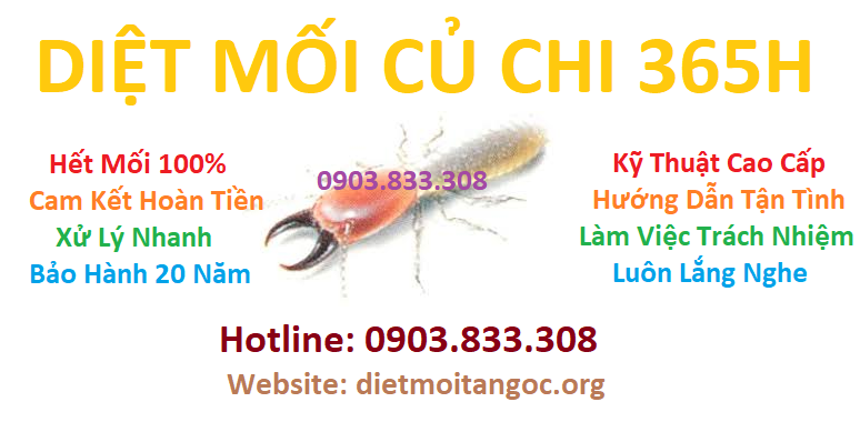 diệt mối củ chi 365h