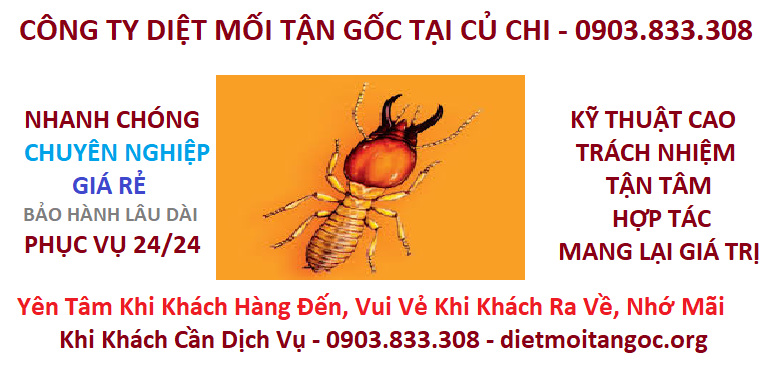 diệt mối tận gốc tại củ chi