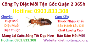 Diệt mối tận gốc 365h tại Quận 2