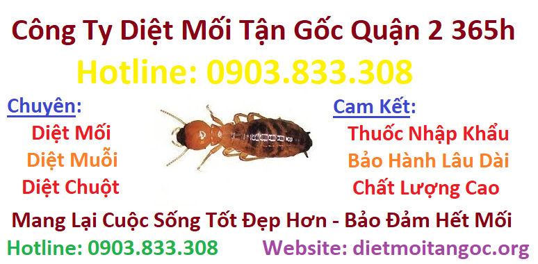 diệt mối tận gốc 365h tại quận 2