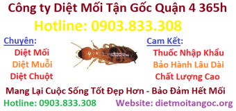 Diệt mối tận gốc 365h tại Quận 4