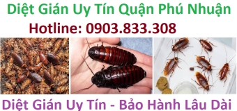 Diệt gián uy tín Quận Phú Nhuận