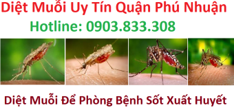 Diệt muỗi uy tín quận phú nhuận