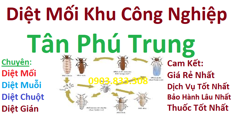 Diệt mối khu công nghiệp tân phú trung