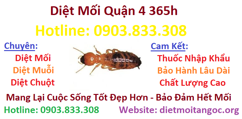 Diệt mối tận gốc Quận 4 365h