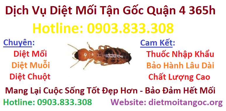 Dịch vụ diệt mối tận gốc Quận 4 365h