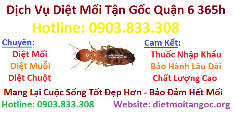 Dịch vụ diệt mối tận gốc Quận 6 365h