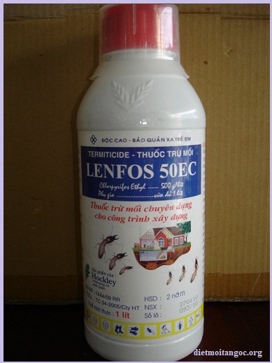 diệt mối tiếng anh là gì chất lượng