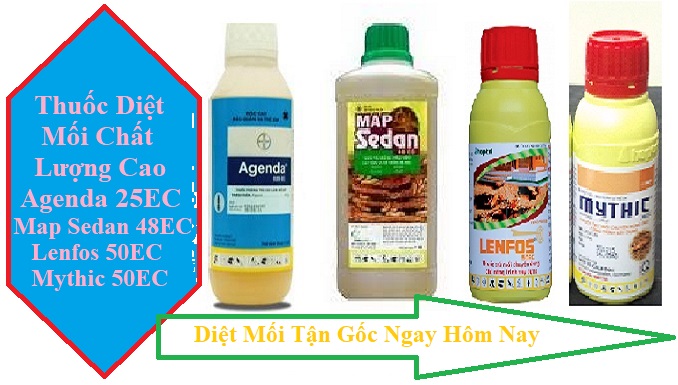 diệt mối tận gốc hà nội uy tín