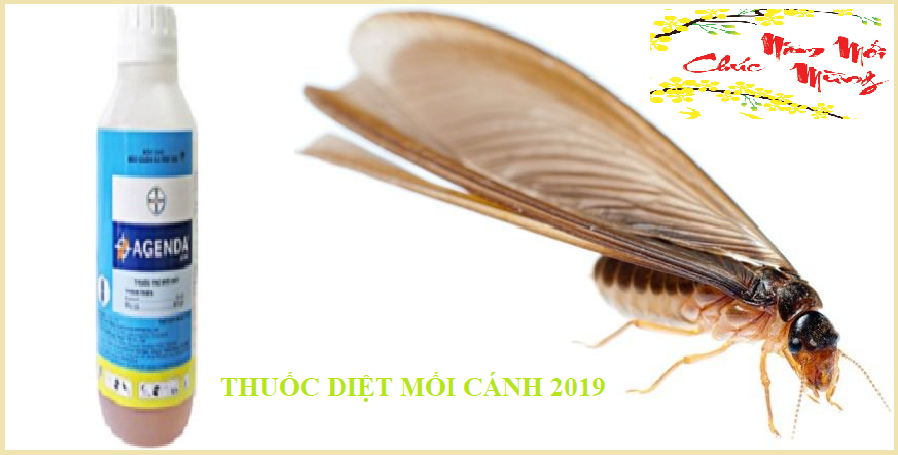 diệt mối cánh tận gốc 365