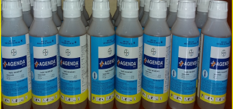 Diệt mối tận gốc Hà Nam