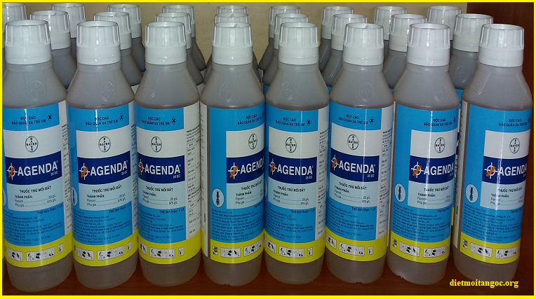 diệt mối tận gốc hà nam chất lượng