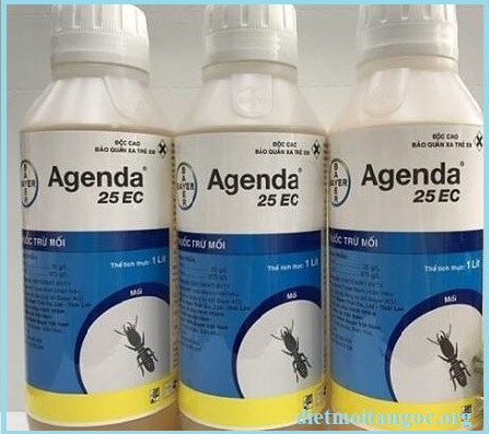 diệt mối tận gốc hà nam