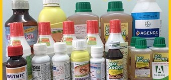 Trừ mối tận gốc hcm
