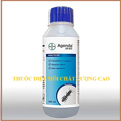 Mẹo diệt mối tận gốc uy tín