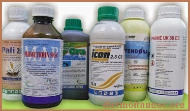 diệt mối tận gốc hoa lâm uy tín