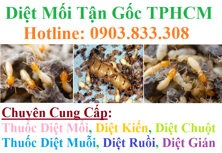diệt mối tận gốc tphcm