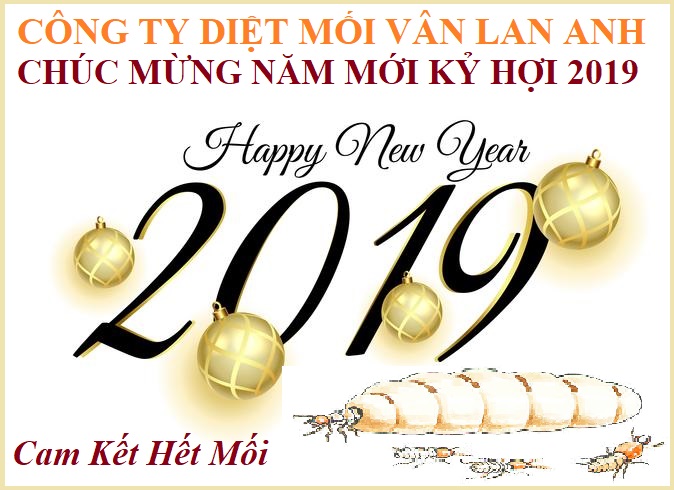 phương pháp diệt mối tận gốc tại nhà