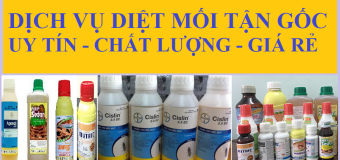 Thuốc diệt mối dạng nước