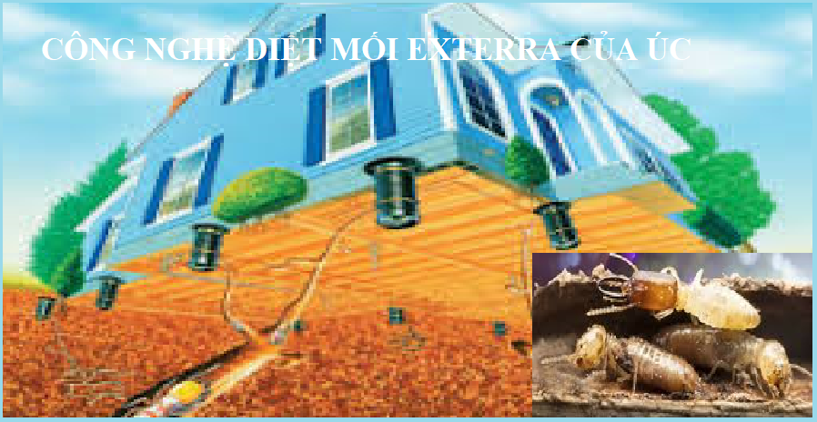 công nghệ diệt mối exterra