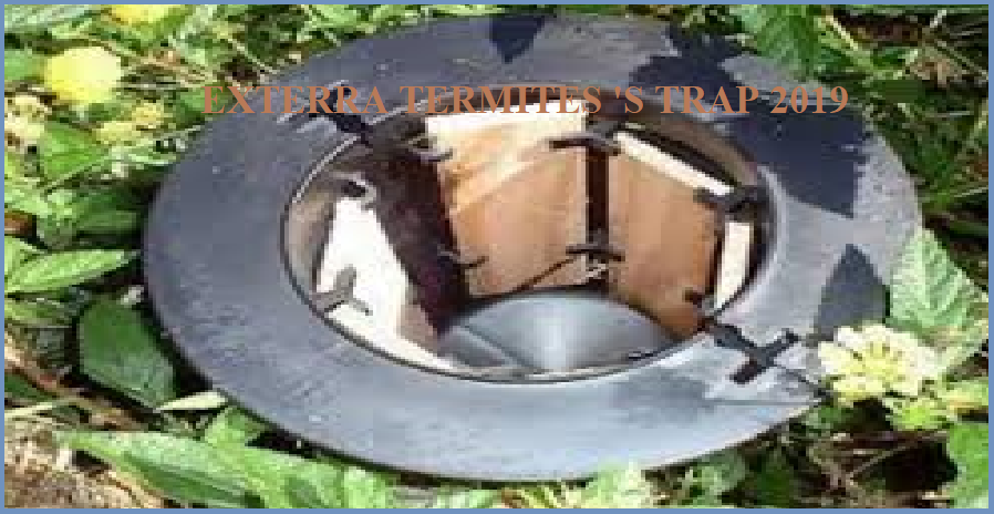 công nghệ diệt mối exterra giá rẻ