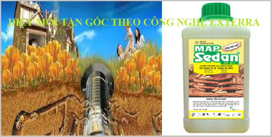 công nghệ diệt mối exterra chuyên nghiệp