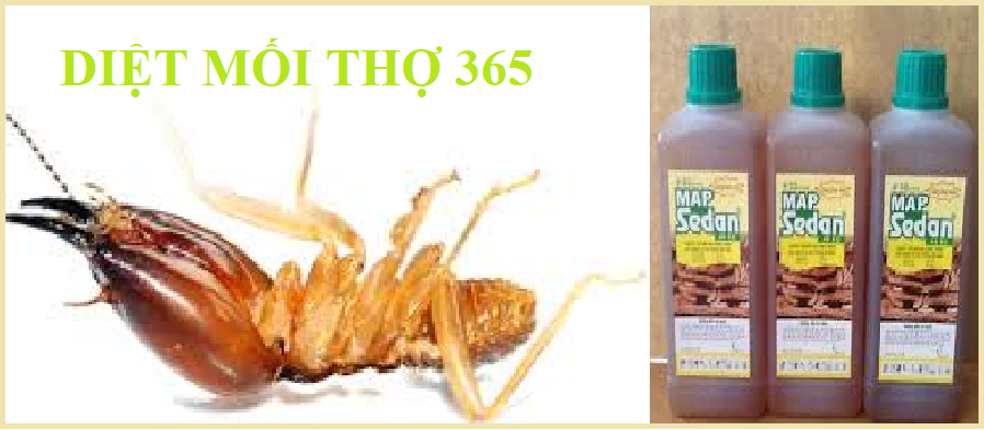 diệt mối tận gốc tại sóc trăng