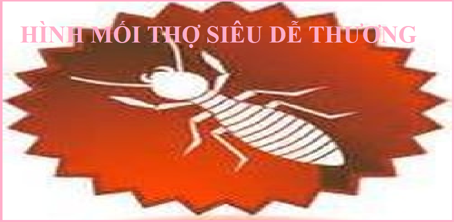 diệt mối uy tín