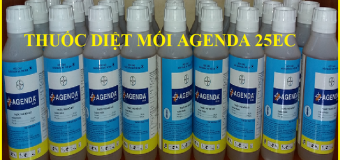 Agenda 25EC hóa chất chuyên phòng chống mối