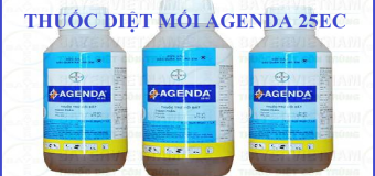 Thuốc diệt mối Agenda 25EC, phòng chống mối