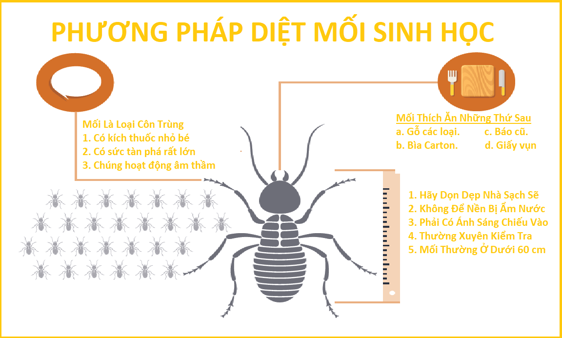 Diệt mối khu công nghiệp