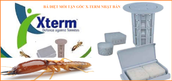 Bả diệt mối X-Term