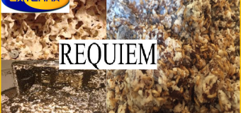 Cach su dung thuoc diet moi requiem