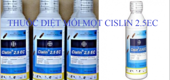 Thuốc diệt mối mọt