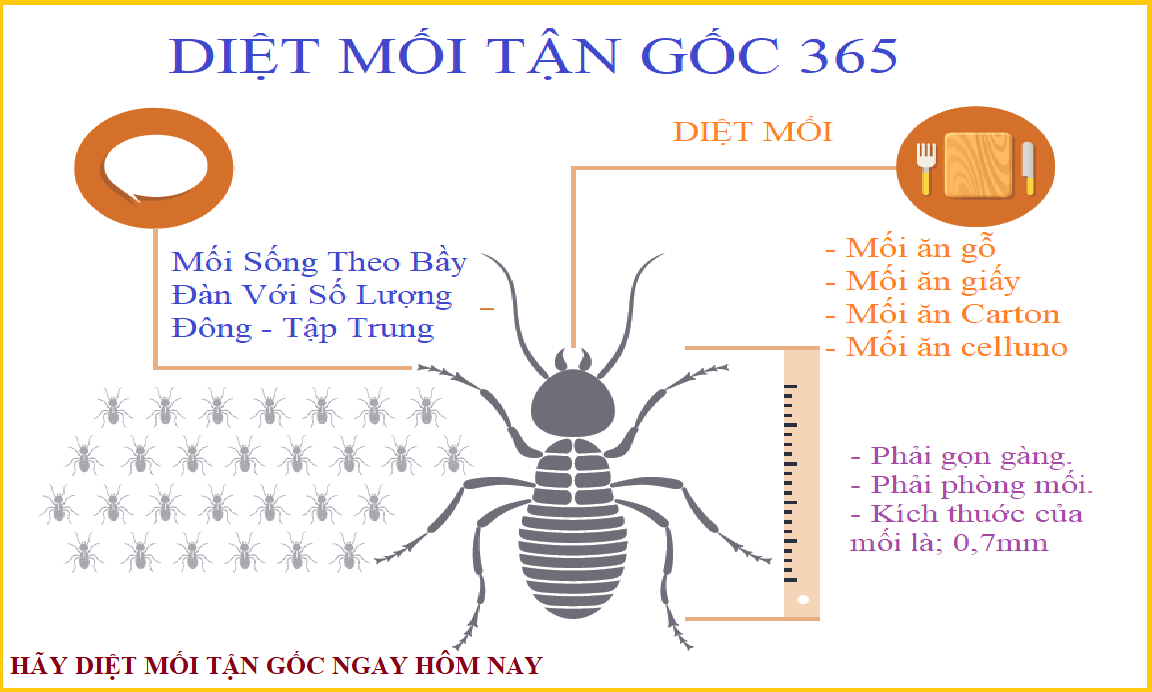 Dia chi diet moi quan 1