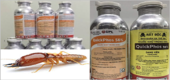 Diệt mối đông hà 12