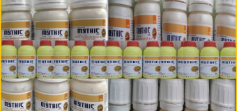 Thuốc diệt mối không mùi Mythic 240SC