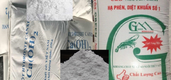 Diệt mối trước khi xây nhà không dùng thuốc