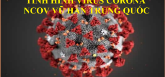 Tìm hiểu về viêm phổi cấp Virus Corona